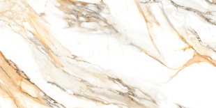 Керамогранит Ceraland Calcatta Paonazzo (60х120) глянец